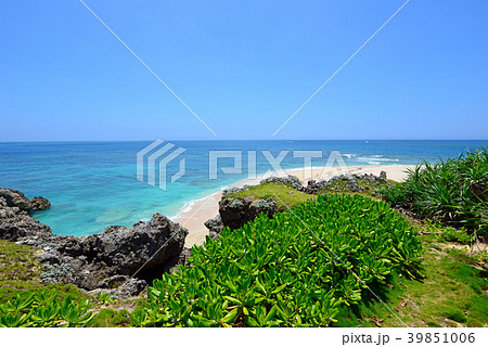 沖縄の美しいビーチ 39851006