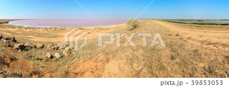 Pink salty Syvash Lake, Ukraine Pink salty Syvash Lake, Ukraine 39853053
