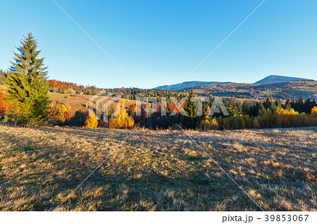 Autumn Carpathian village, Ukraine. 39853067