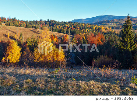 Autumn Carpathian village, Ukraine. 39853068