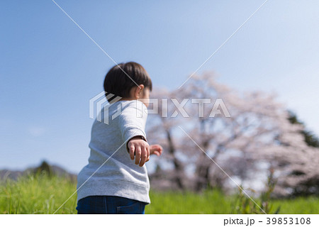 元気な子供 元気な子供 39853108