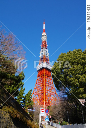 東京タワー 39853431