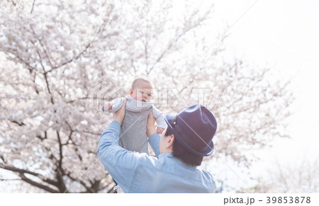 桜　ベビー 39853878