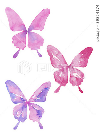 アゲハ蝶のセット 水彩イラスト のイラスト素材