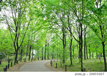 柏の宮公園 39855007