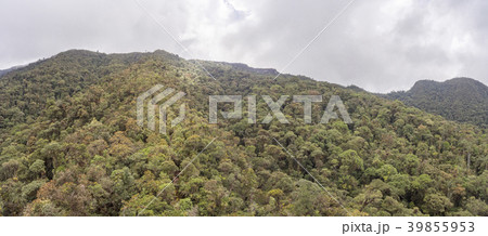 Aerial view of the cloudforest covered slopes Aerial view of the cloudforest covered slopes 39855953