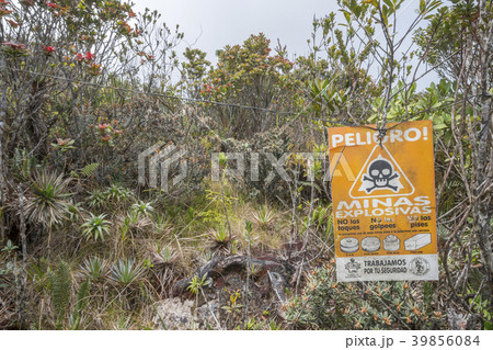 Mine field on Paquisha Alta Tepuy Mine field on Paquisha Alta Tepuy 39856084