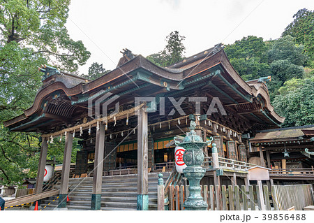 金刀比羅宮 本宮拝殿 金刀比羅宮 本宮拝殿 39856488