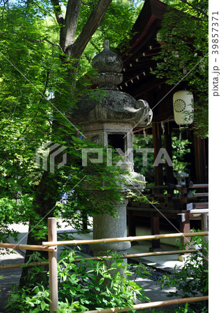 梨木神社-4 39857371