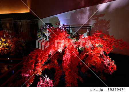 東京都　ホテル 39859474