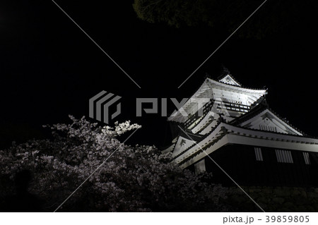 浜松城 夜桜の写真素材