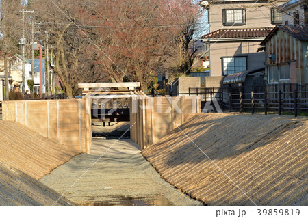 見沼田圃：見沼通船掘東縁　東縁二の関 39859819