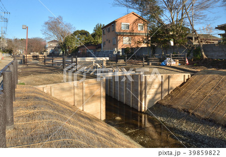 見沼田圃：見沼通船掘東縁　東縁一の関 39859822