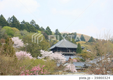 春の奈良公園　二月堂遠望 39860324