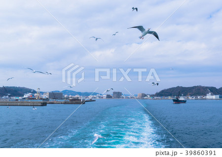 久里浜港とカモメ 39860391