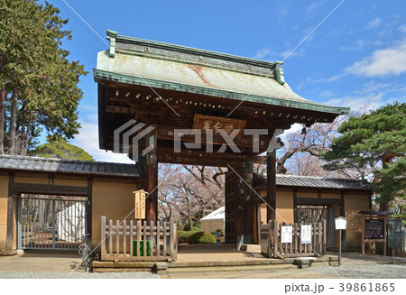 世田谷散歩：豪徳寺　山門 39861865