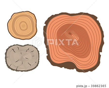 Tree wood trunk slice texture circle cut wooden 39862365