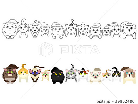 座って見上げる猫たちのボーダーのセットのイラスト素材