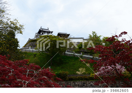 福知山城 39862605