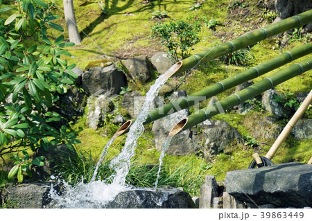 竹水栓 日本庭園 池 の写真素材