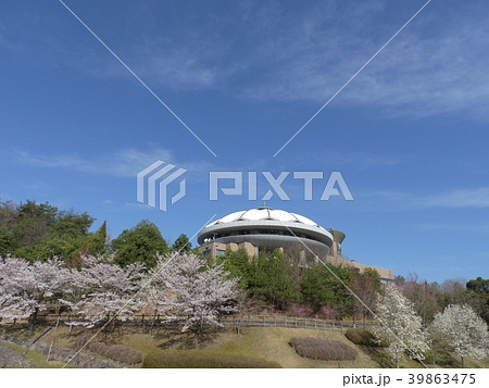 春のどんぶり会館 ( 2018年3月 岐阜県土岐市 道の駅「土岐美濃焼街道」) 39863475