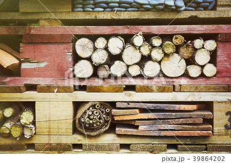 37187 37187 39864202