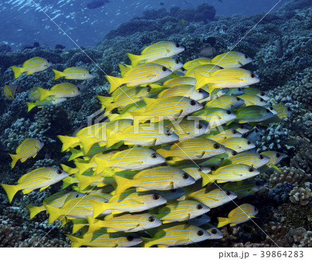 37716 37716 39864283