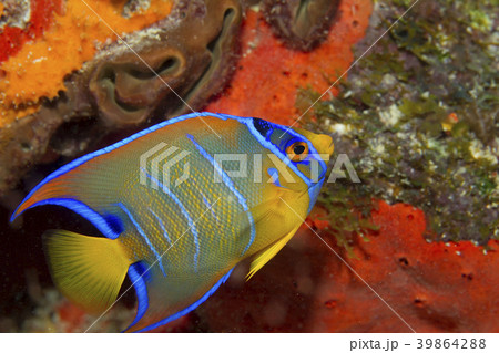 37720 37720 39864288