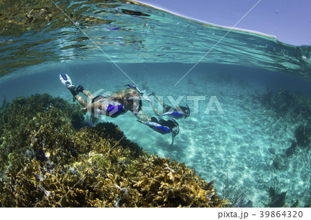 37736 37736 39864320