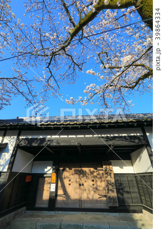 秋月の桜 39864334