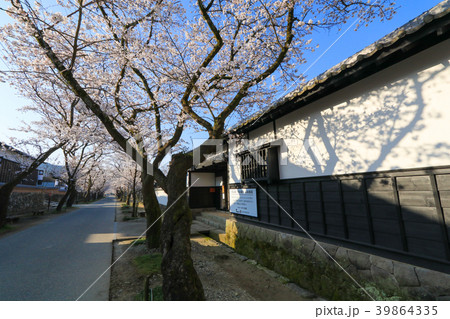 秋月の桜 39864335