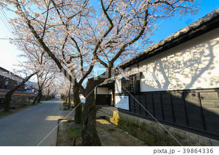 秋月の桜 39864336