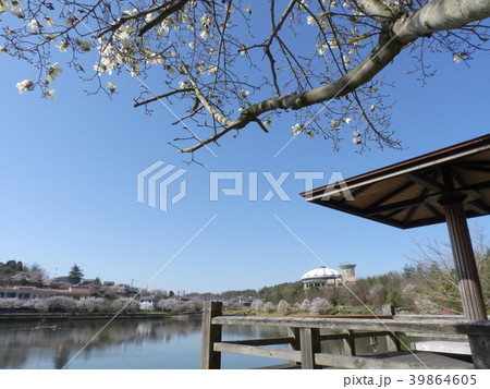 どんぶり会館と杉焼池 ( 2018年3月 岐阜県土岐市 道の駅「土岐美濃焼街道」) 39864605
