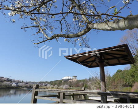 どんぶり会館と杉焼池 ( 2018年3月 岐阜県土岐市 道の駅「土岐美濃焼街道」) 39864611