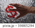 金欲12 39865294