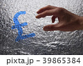 金欲13 39865384