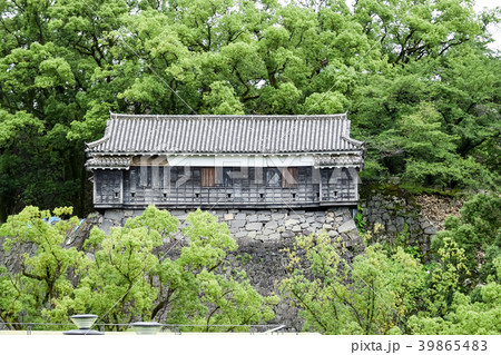 熊本城　震災直後　夏の熊本城　Kumamoto Castle 39865483