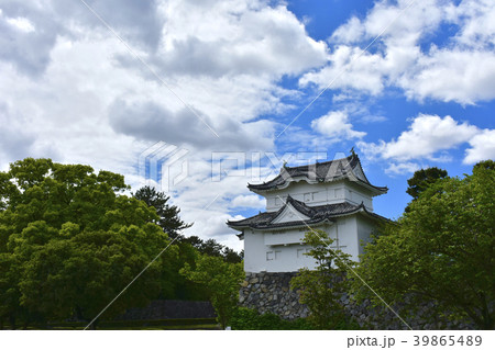 日本100名城 4月の名古屋城 東南隅櫓 日本100名城 4月の名古屋城 東南隅櫓 39865489
