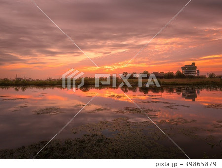 福島潟の夕景 福島潟の夕景 39865879