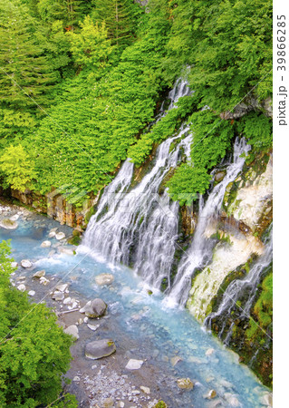 白髭の滝 39866285