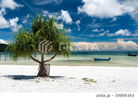 Beautiful tropical beach of Koh Rong Samloem  39866363
