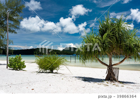 Beautiful tropical beach of Koh Rong Samloem Beautiful tropical beach of Koh Rong Samloem 39866364