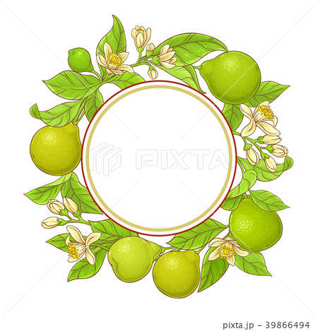 Bergamot Vector Frameのイラスト素材