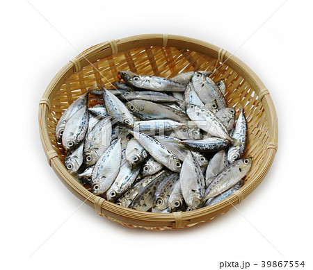 竹ざるに入ったエバ 39867554