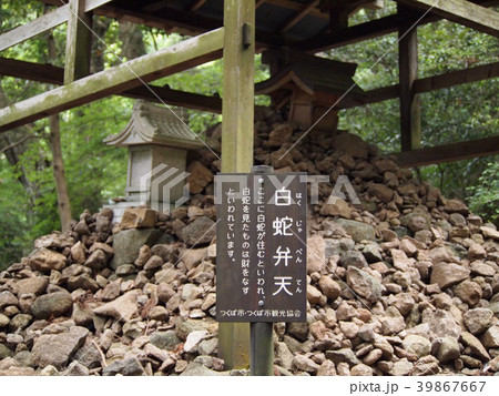 筑波山 39867667