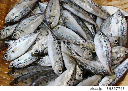 竹ざるに入ったエバ 39867743