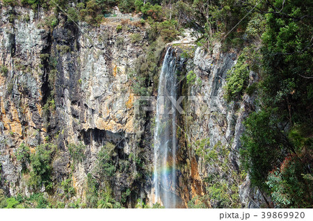 Purling Brook Falls - Springbrook Purling Brook Falls - Springbrook 39869920