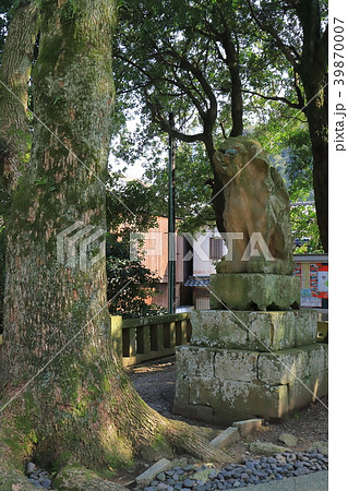 松江市の美保神社の狛犬 39870007