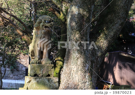 松江市の美保神社の狛犬 39870023