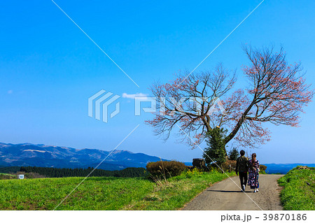 前原の一本桜 【熊本県阿蘇郡小国町】 前原の一本桜 【熊本県阿蘇郡小国町】 39870186